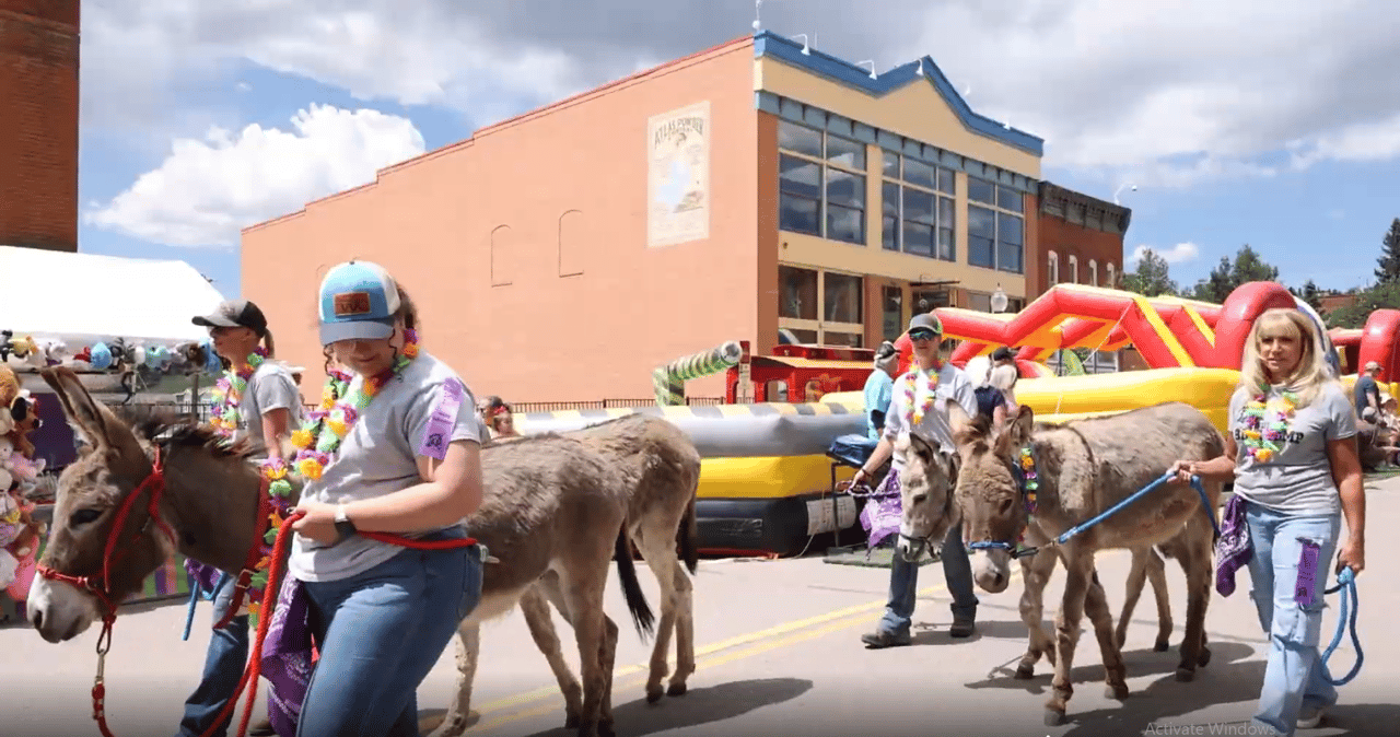 A Colorado Classic: Inside Cripple Creek’s Donkey Derby Days