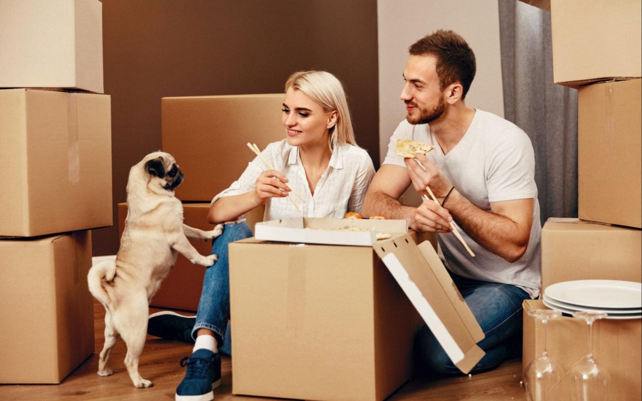 6 Tips for Moving with Pets