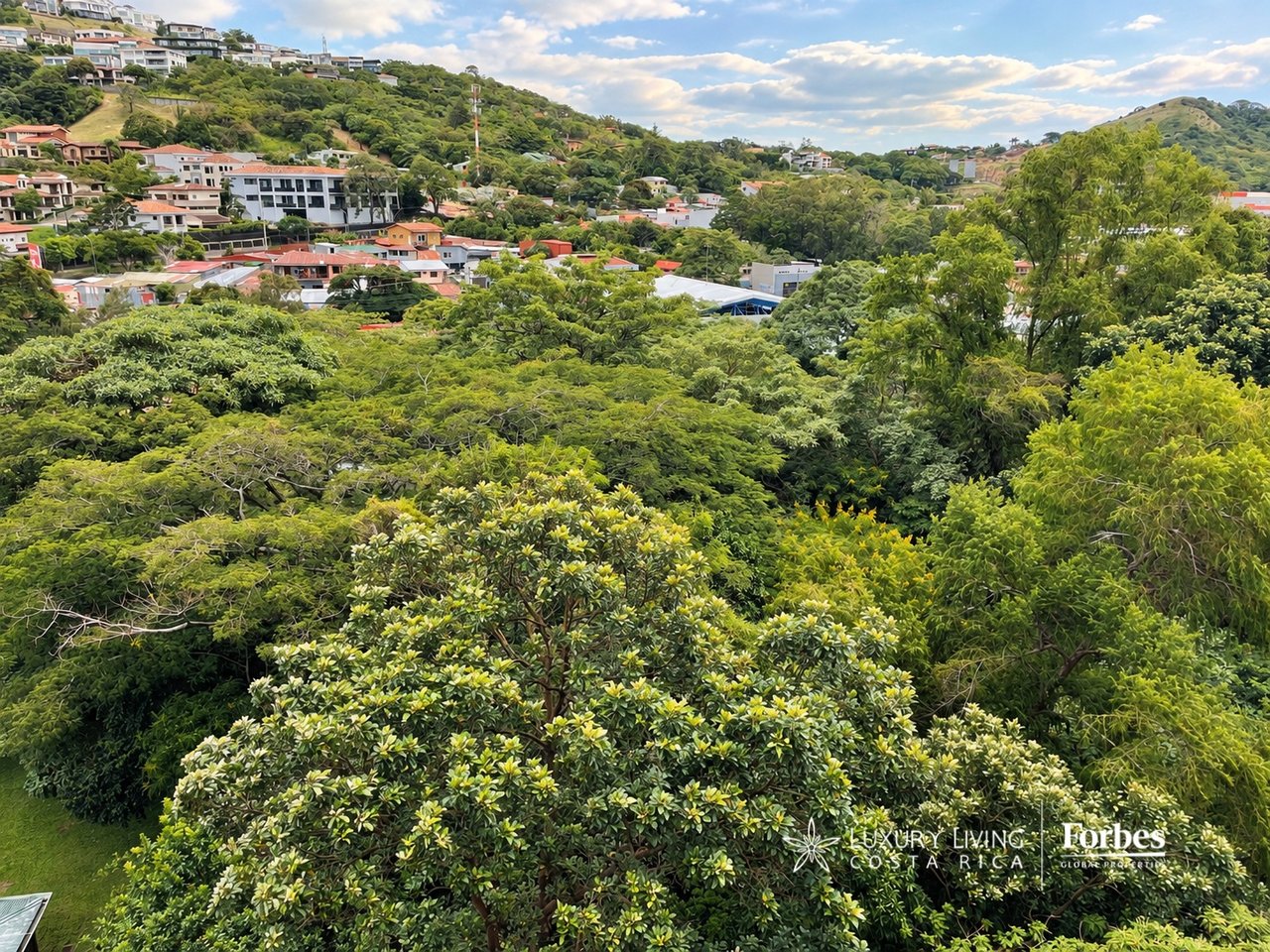 Hillside neighborhood beyond dense tropical greenery under a partly cloudy sky.