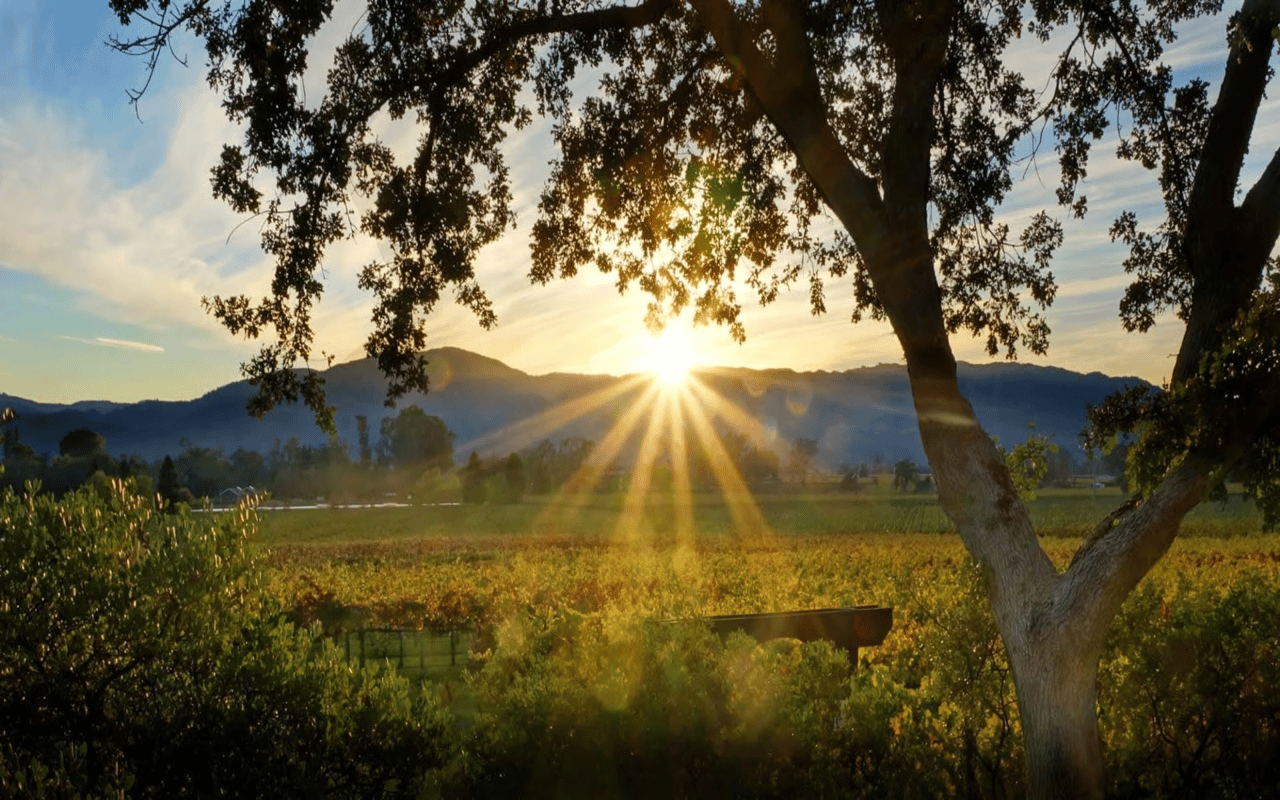 Carmel Valley