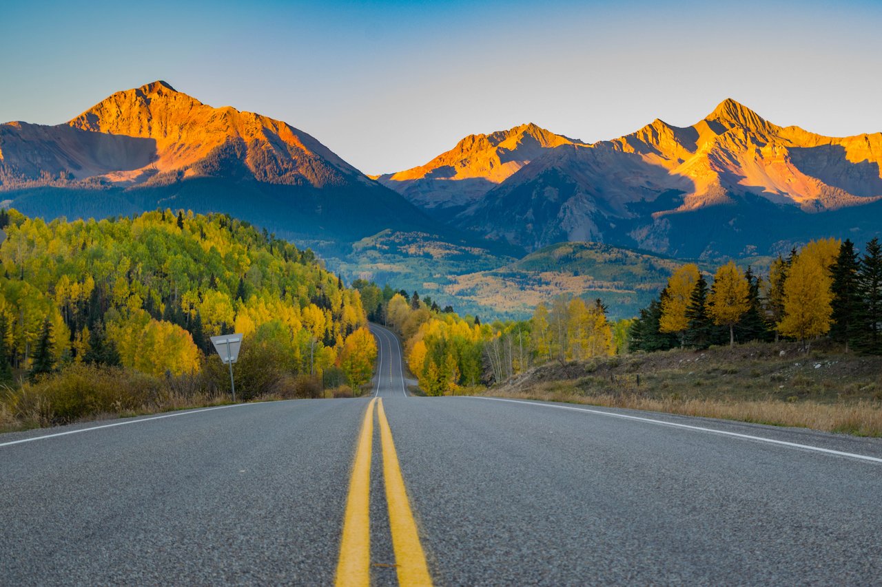 Aldasoro | Gray Head