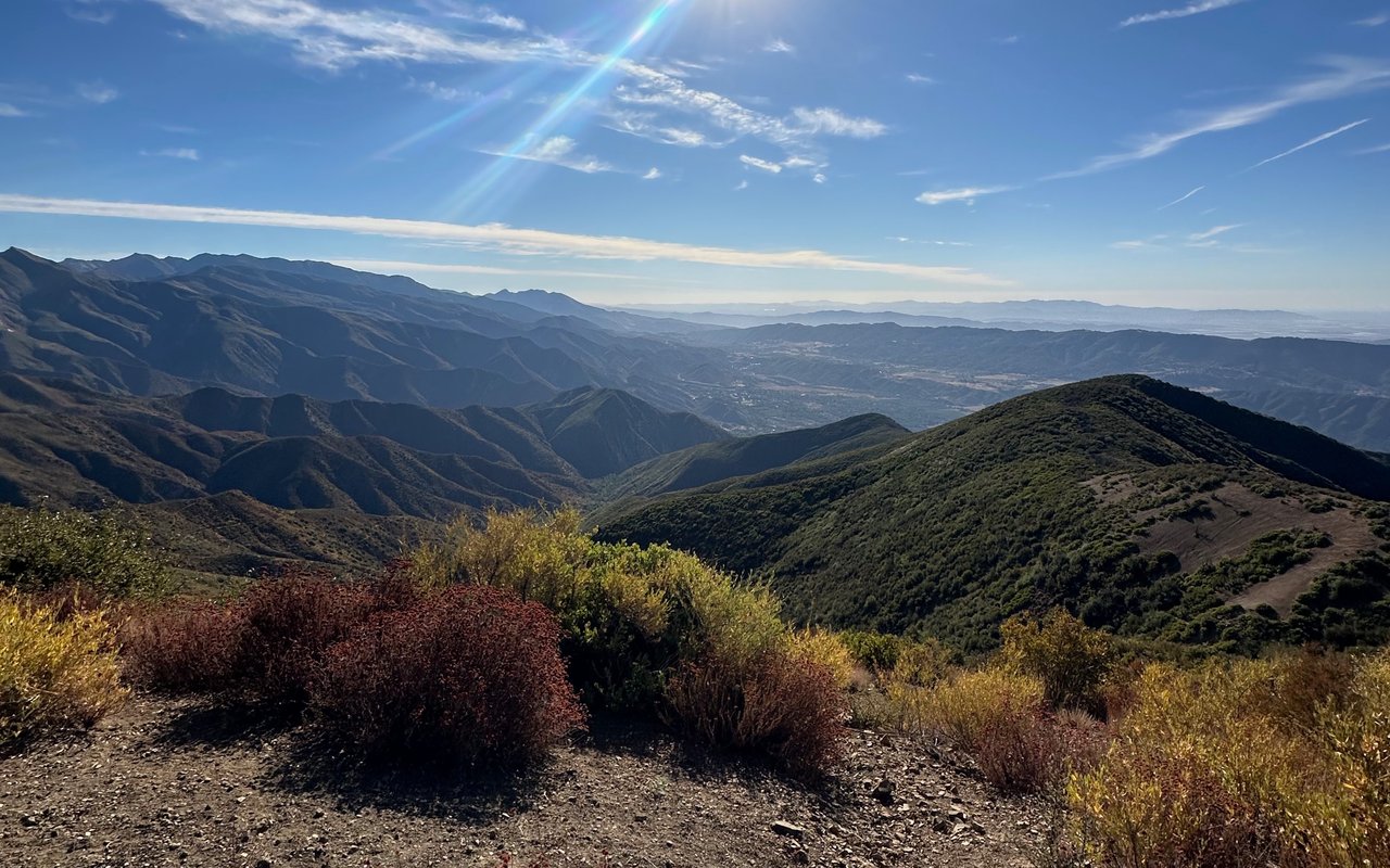 The Magic of Rain in Ojai