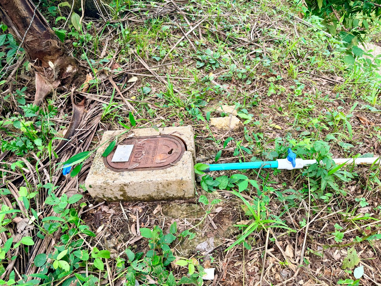 Tres Ríos Jungle Sanctuary | Ready-to-Build Lot Surrounded by Nature