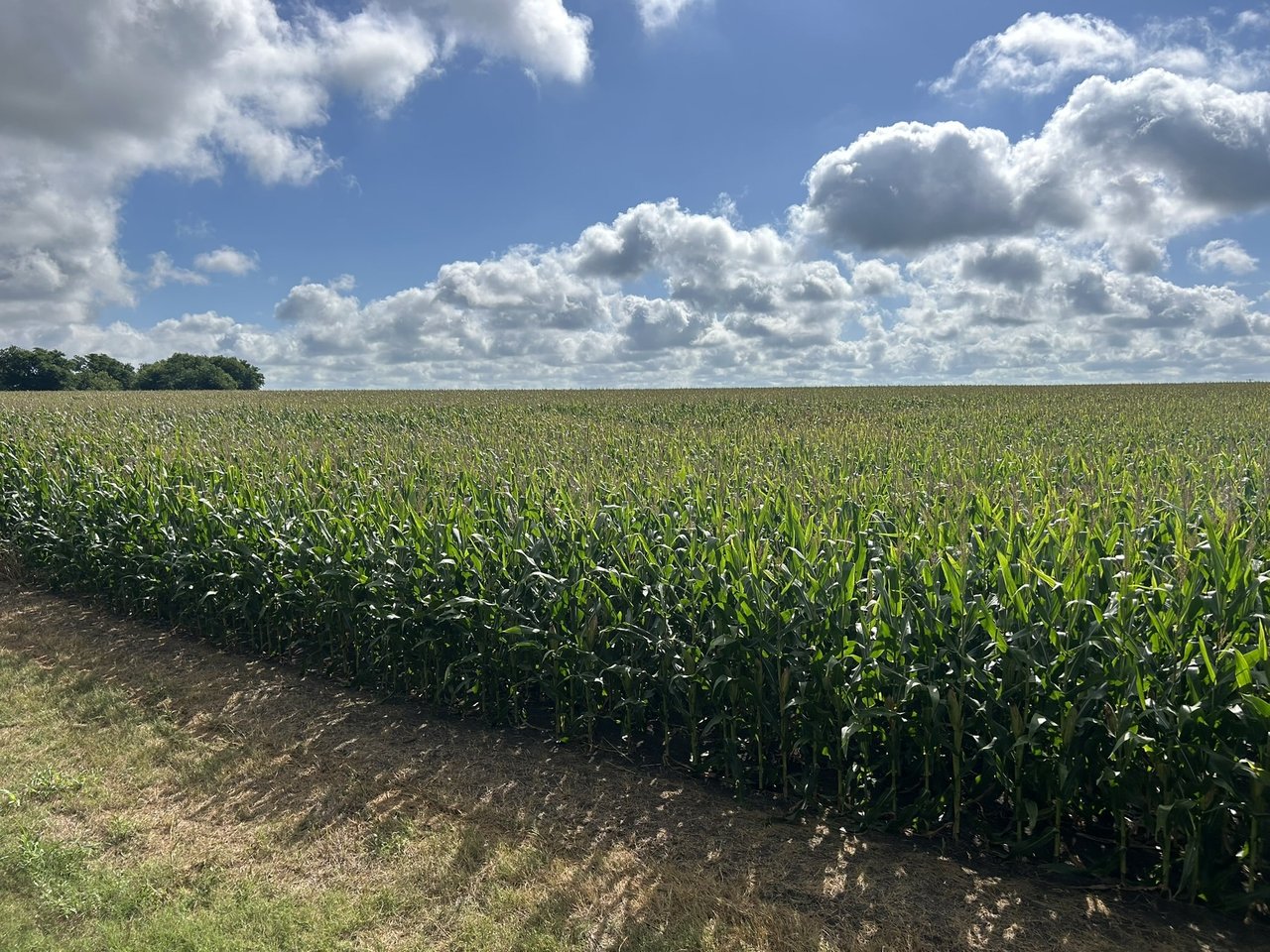 25 Acres in Temple, Tx