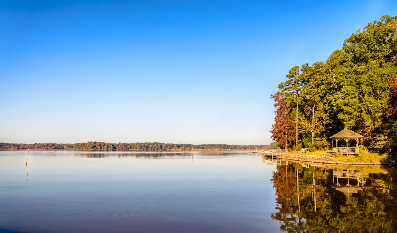 contact-form-background