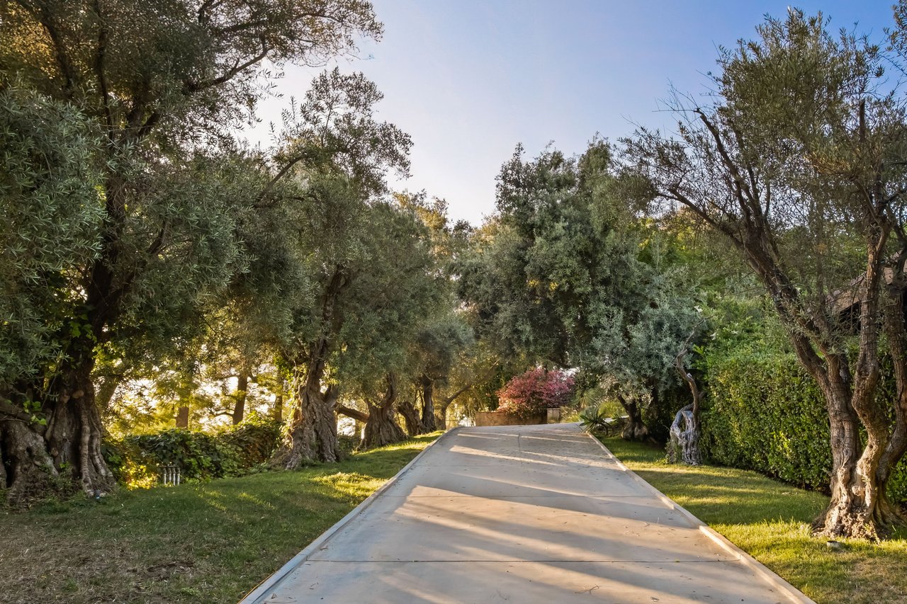11531 Amanda Drive