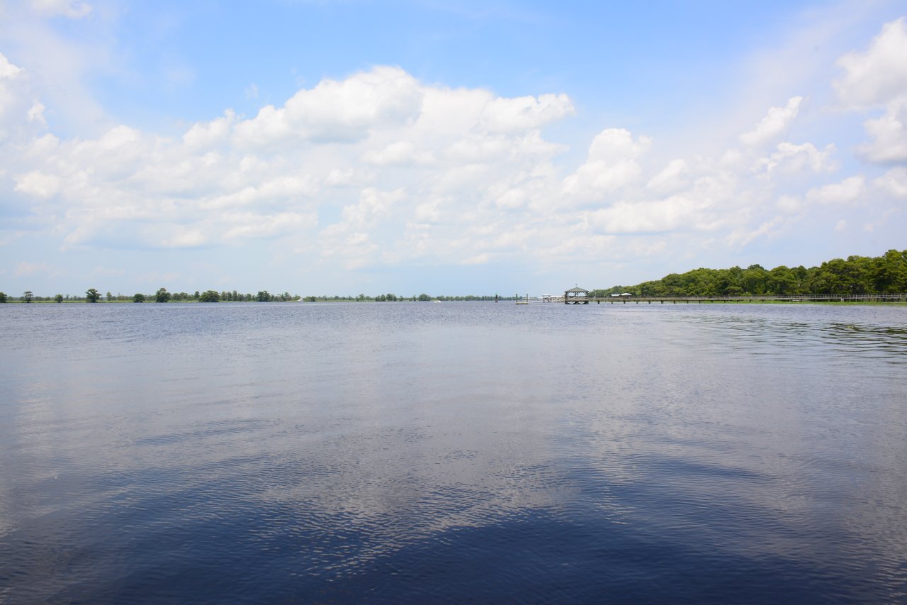 Allston River Bluffs
