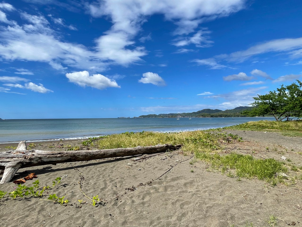 Twin Dolphins Penthouse | Unbeatable Beachfront Location with Exceptional Ocean Views and the Flamingo Marina!