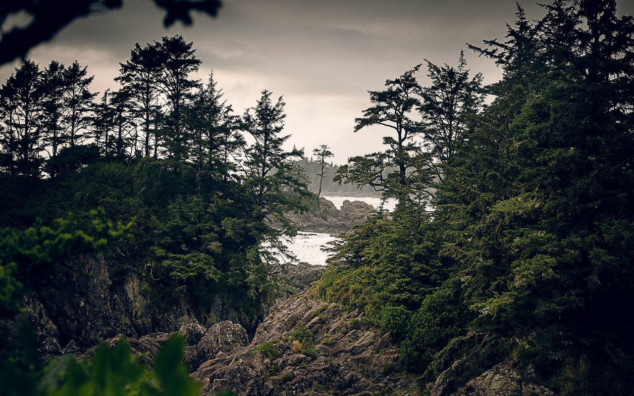 A Day in Ucluelet