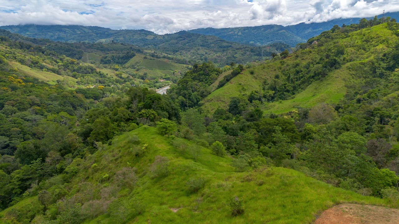 60 Hectares in Platanillo 