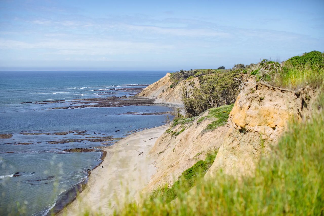 On the Water — Our Favorite Beaches from West Marin to West Sonoma