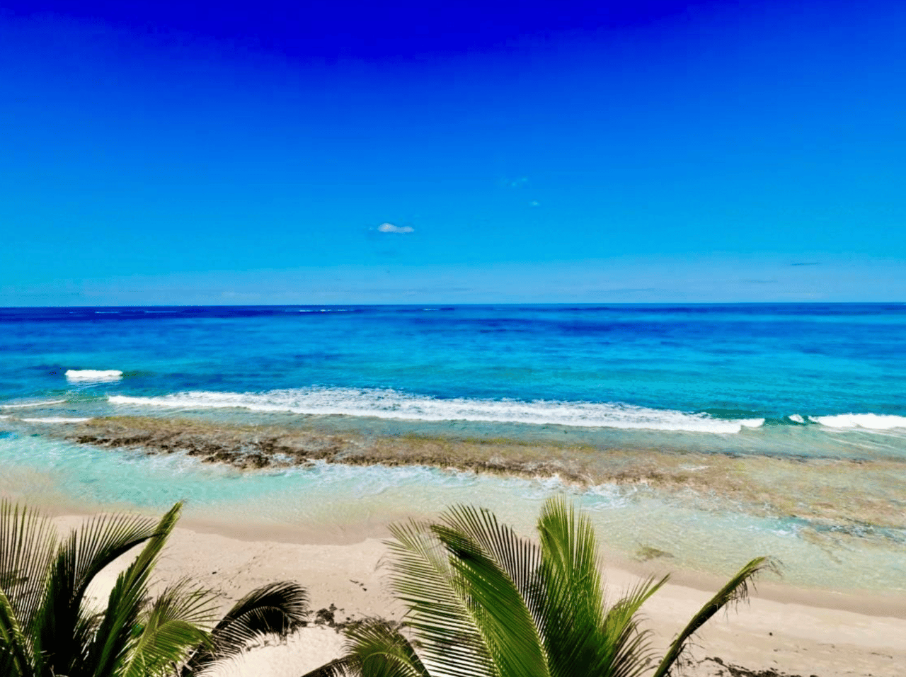 1004 Columbus Cove Townhome