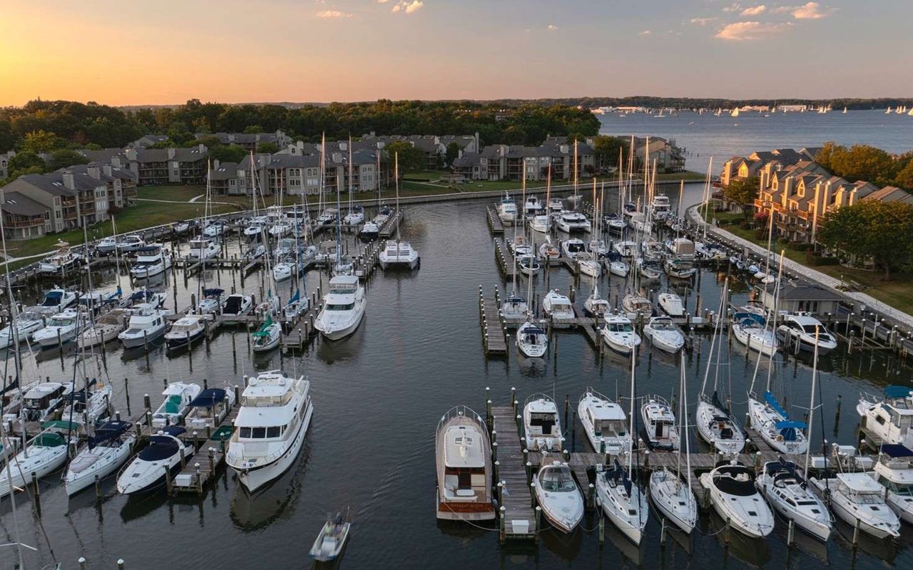 Chesapeake Harbour