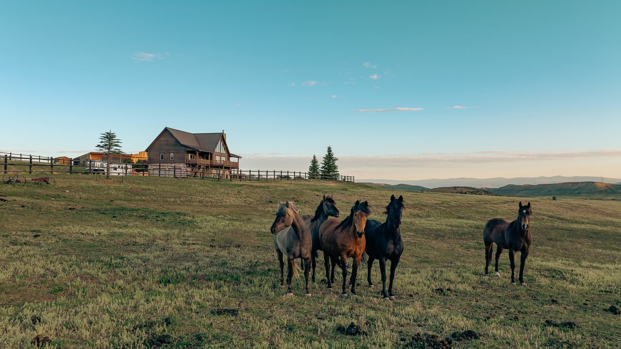 Ranch home on a fenced hillside with horses grazing in the foreground.
