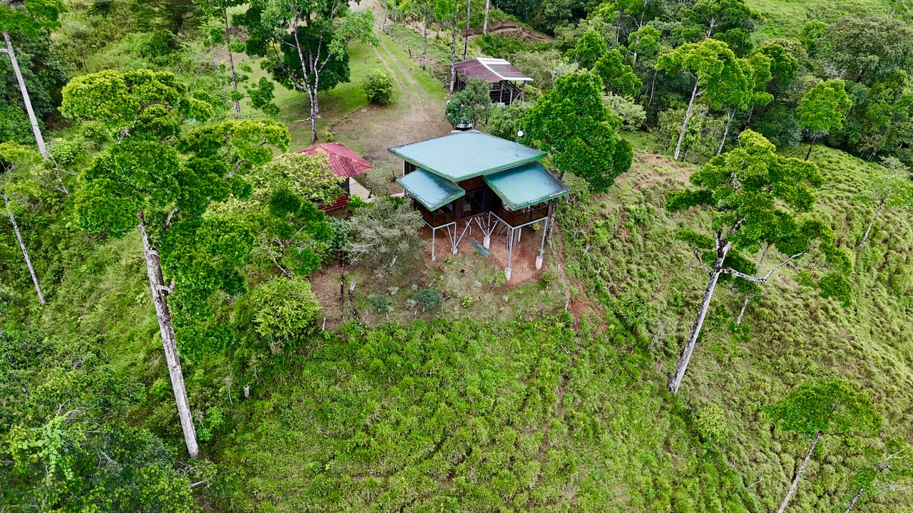 Spring, Waterfalls and more!  Farm in San Vito Limoncito!
