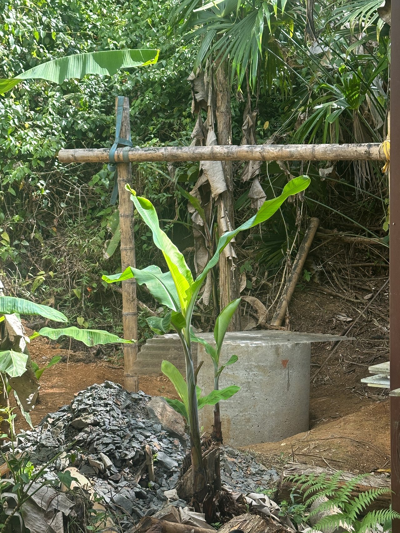 Tinamastes Costa Rica Property with Home, Yoga Deck & Land