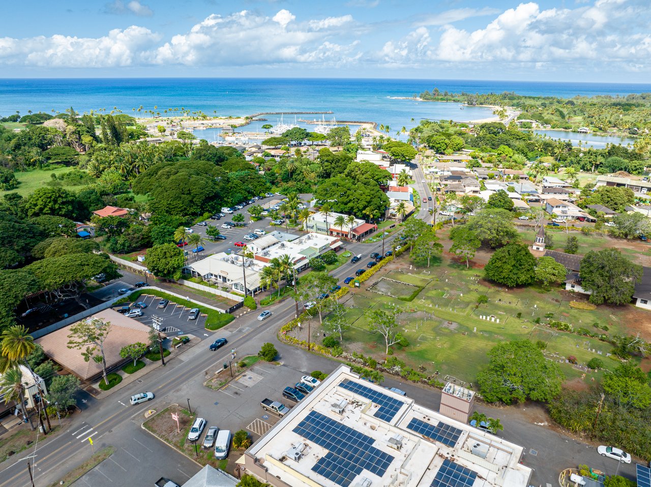 The Green Pineapple Estate