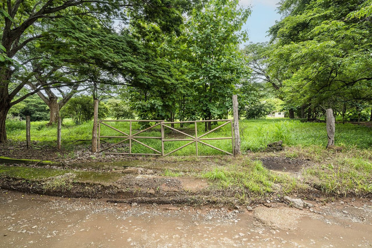 Flamingo 2.8 Hectare Parcel Playa Flamingo