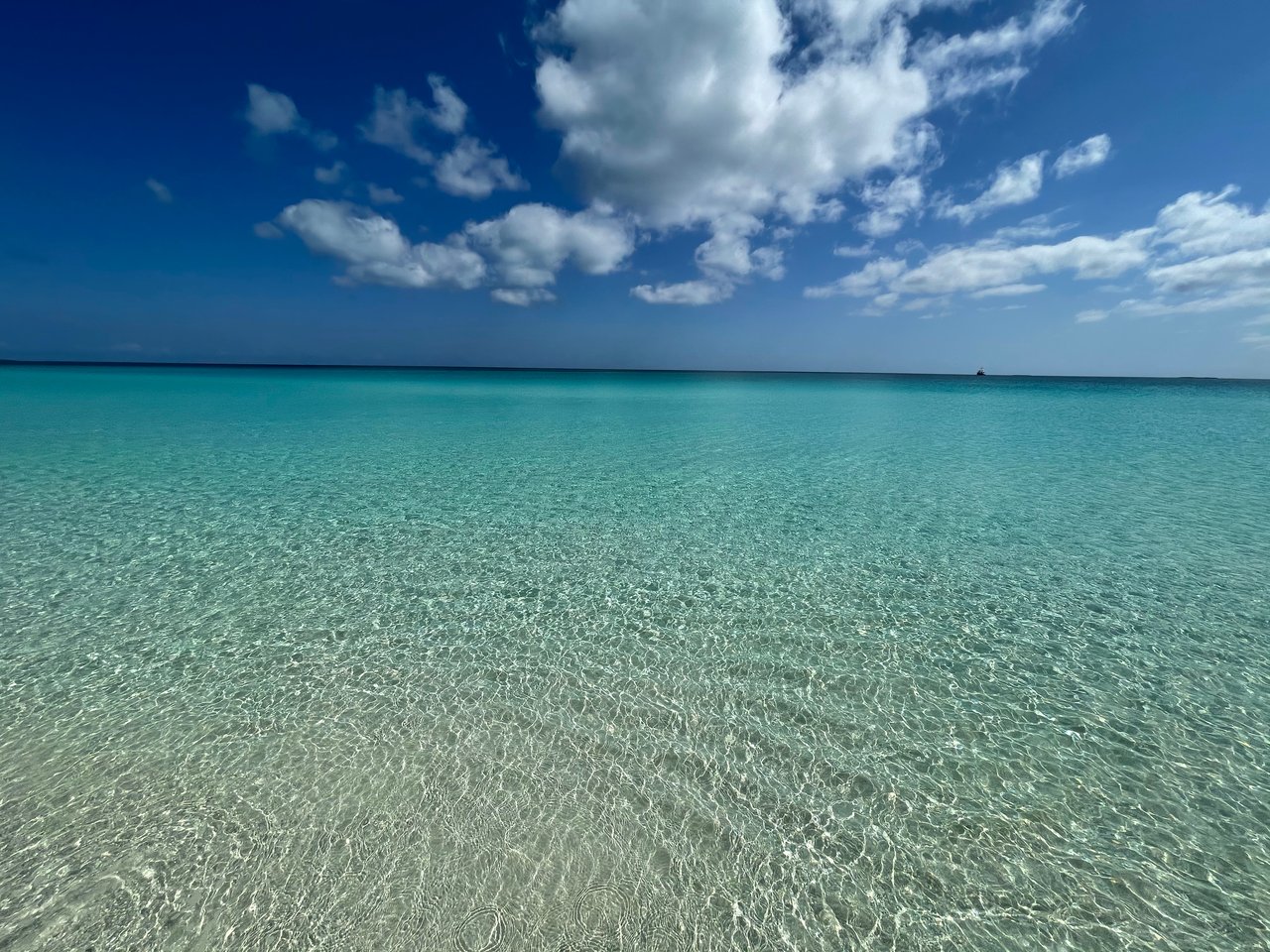 Arabella’s Cove: Barefoot Luxury on the Shores of Great Harbour Cay