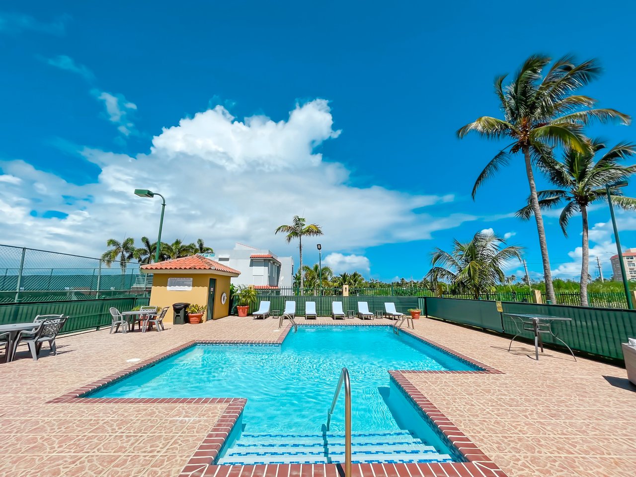 Royal Palm B-502
