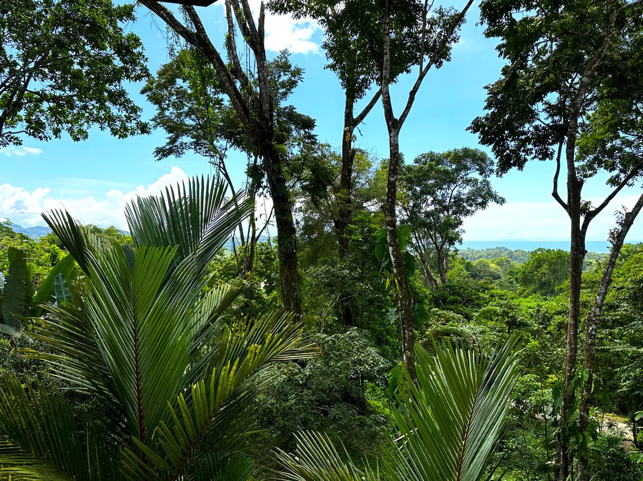 FIRE SALE! Jungle, Rivers, a Waterfall and Panoramic Ocean View