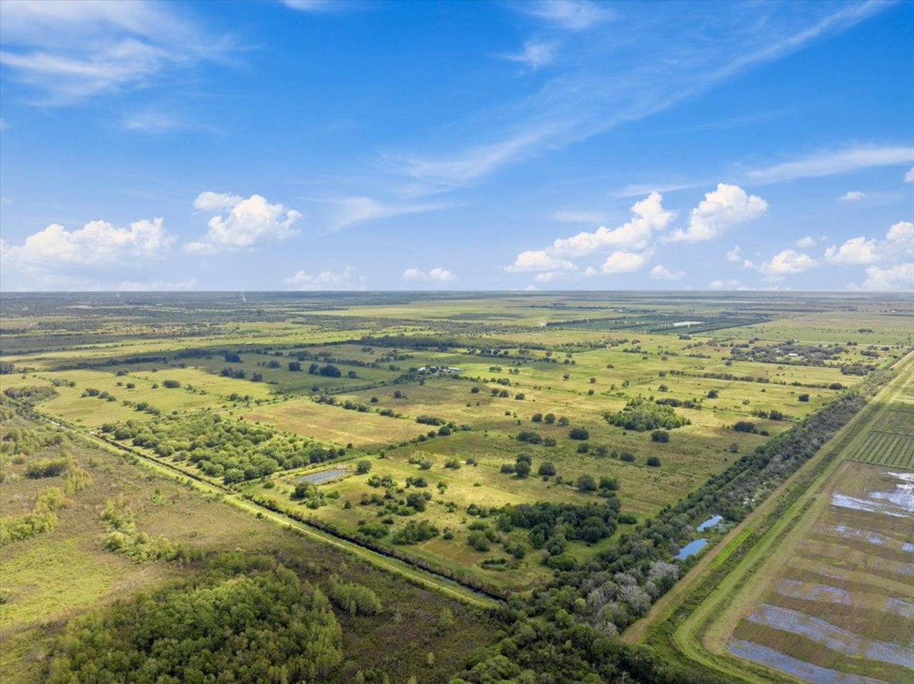 Bhakta Farms - 12600 SR-60