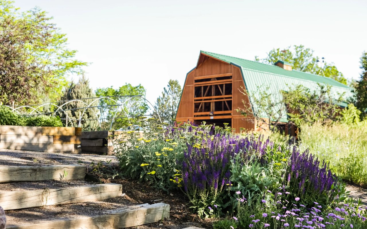 Edgemont Ranch