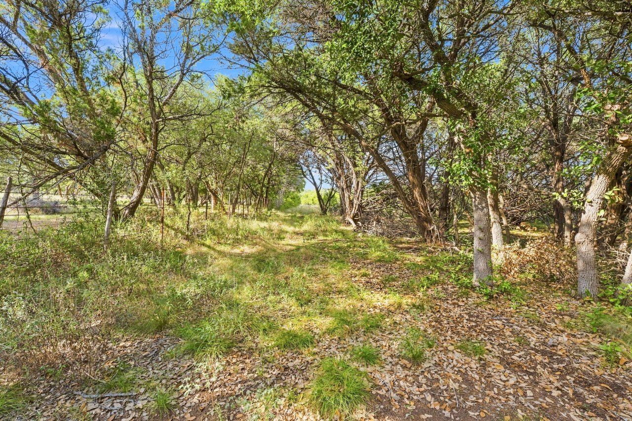 Wooded ranch path beneath mature trees, with fallen leaves and a wire fence along the left side.