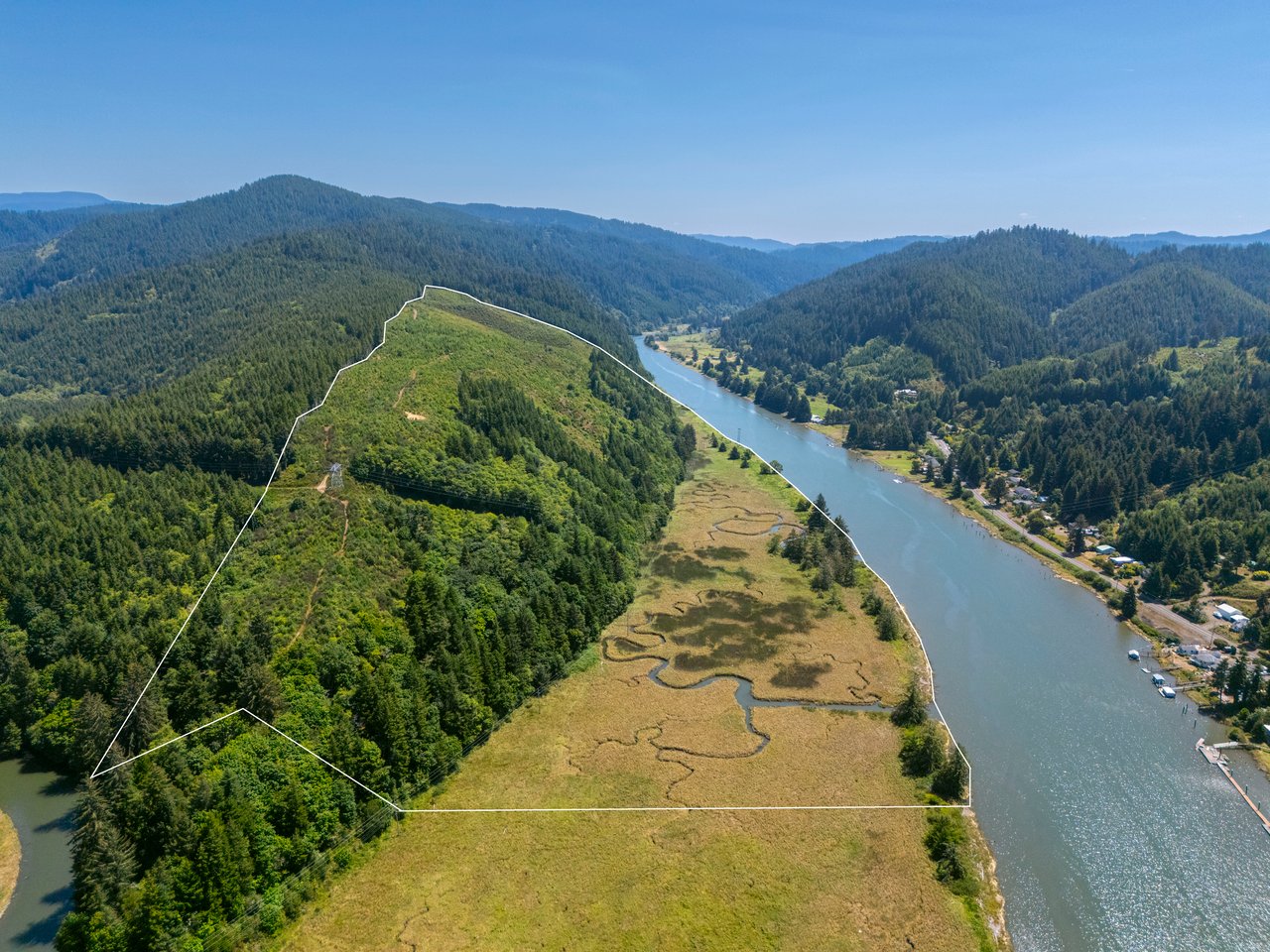 Alsea Estuary Forestland