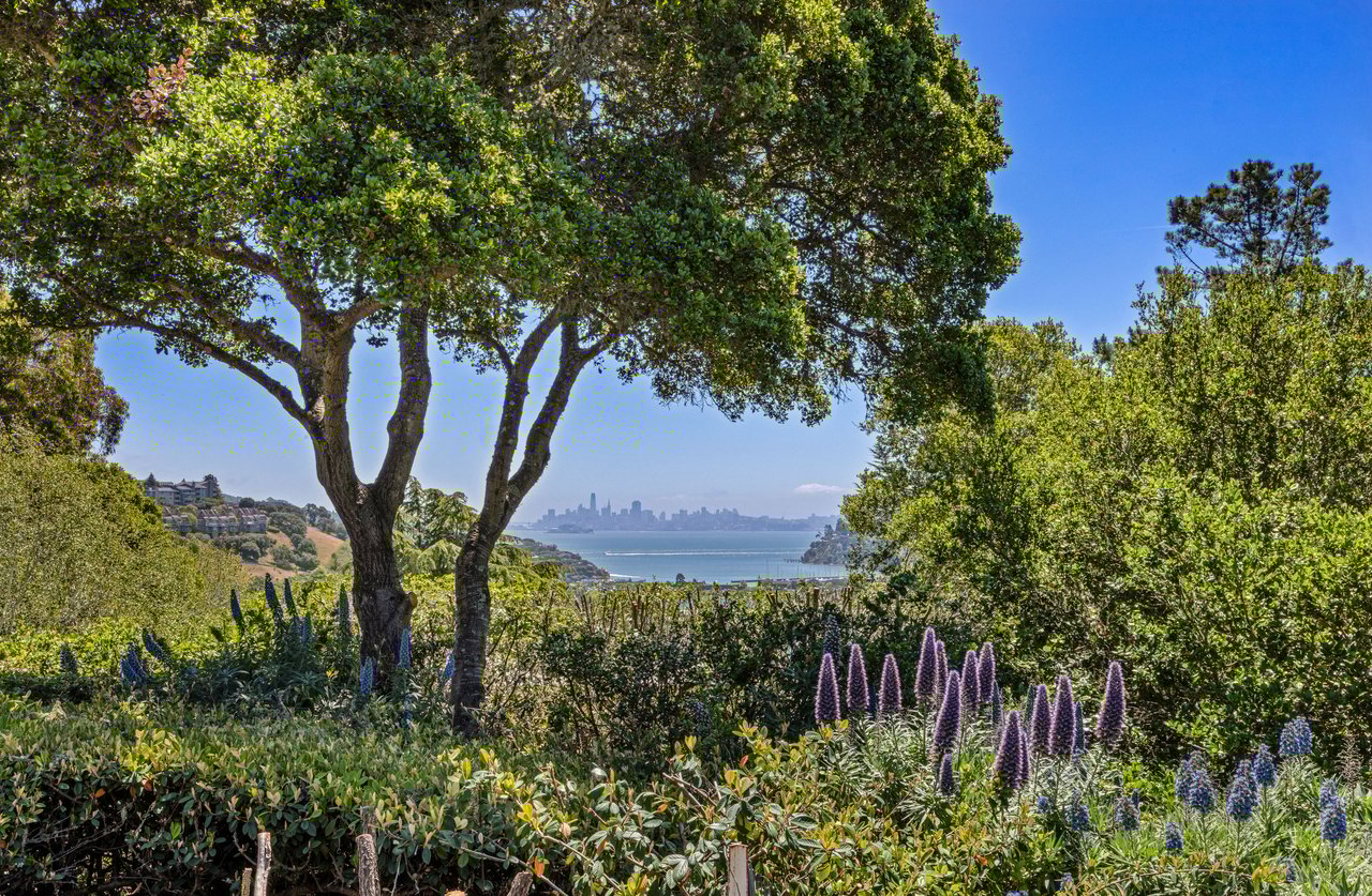 Rare 1+ Acre Dream Site