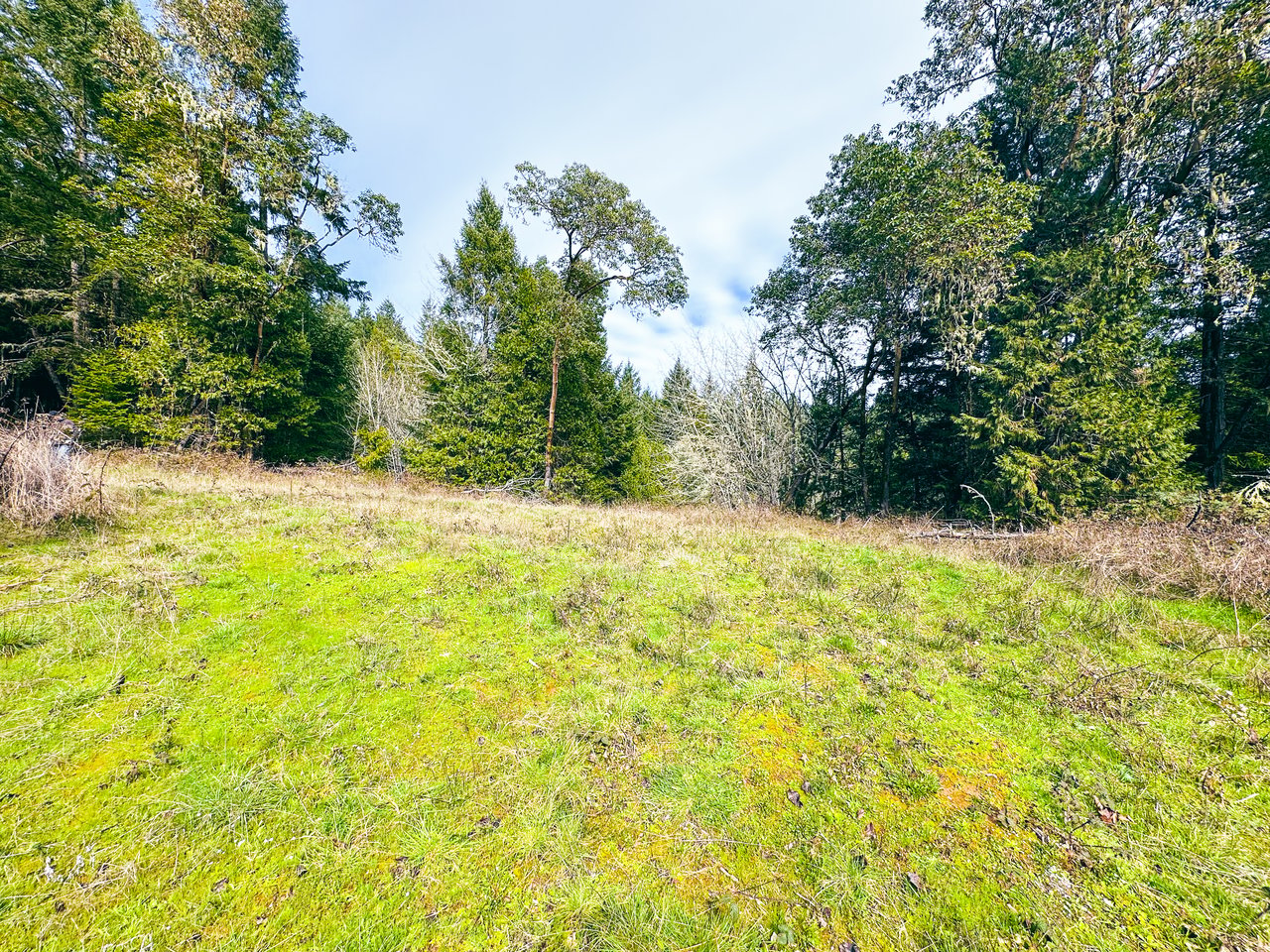 SUTHERLIN HEIGHTS