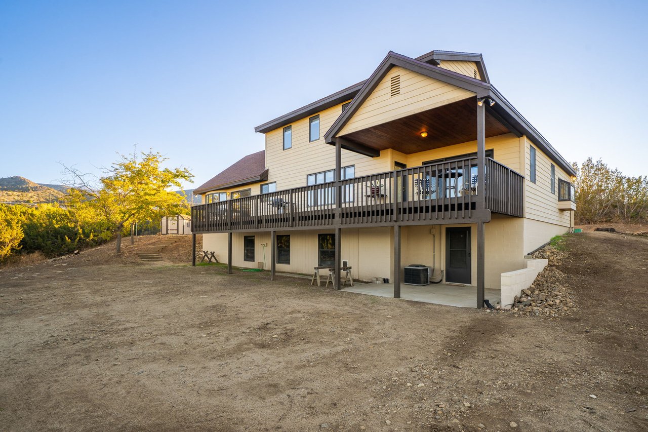 9025 Pine Tree