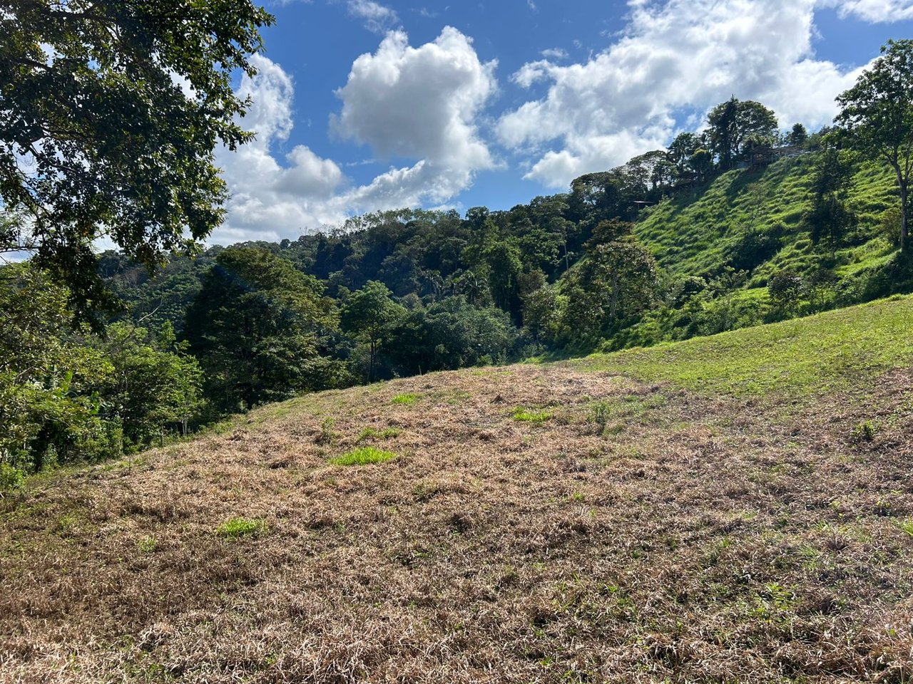 10-Acre Waterfall Farm with Amazing Valley and River View in San Isidro.