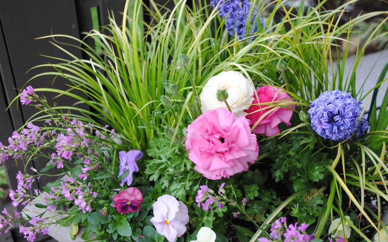 Spring Gardening Tips!