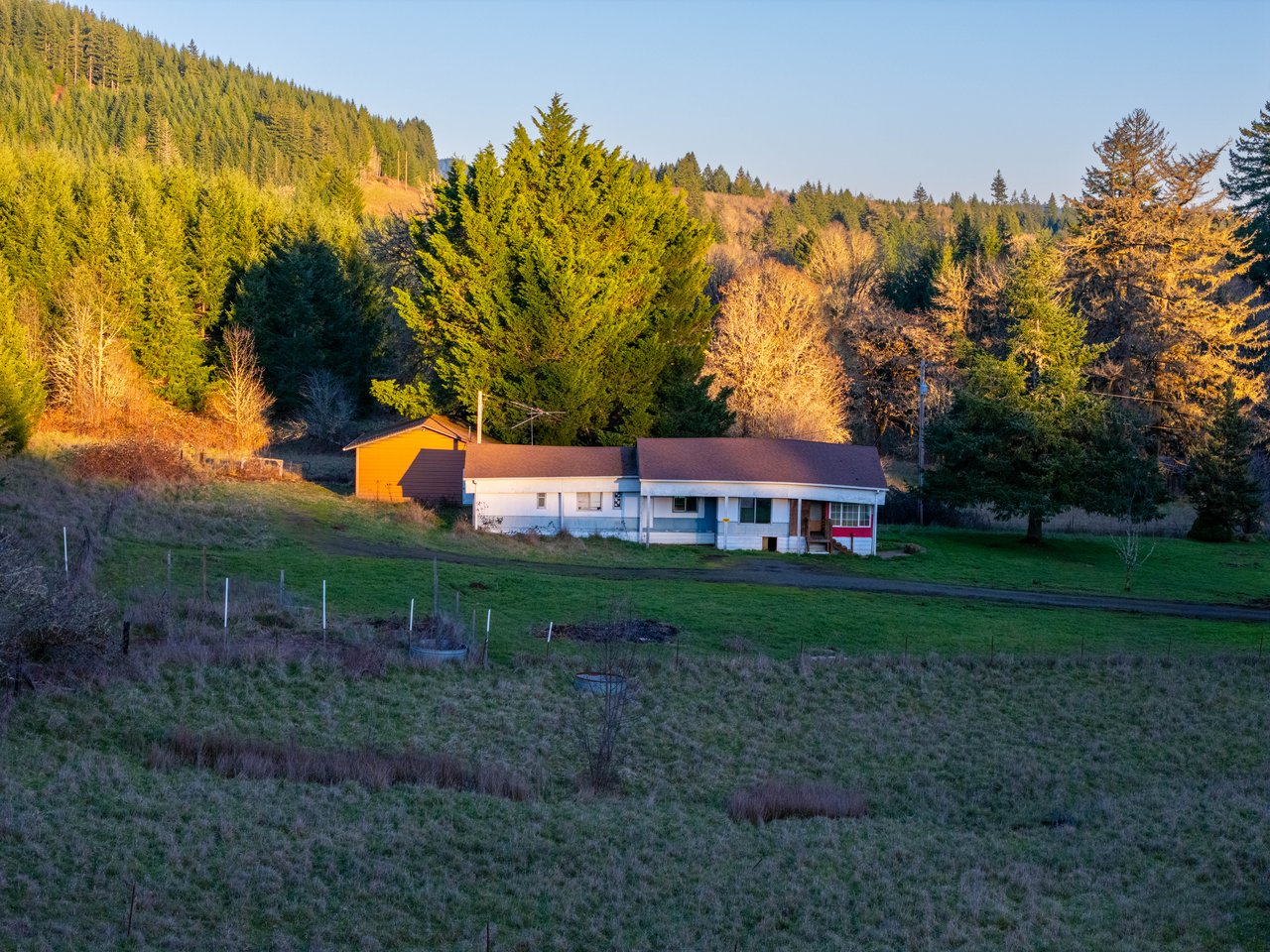 HARRIS FARM & FOREST