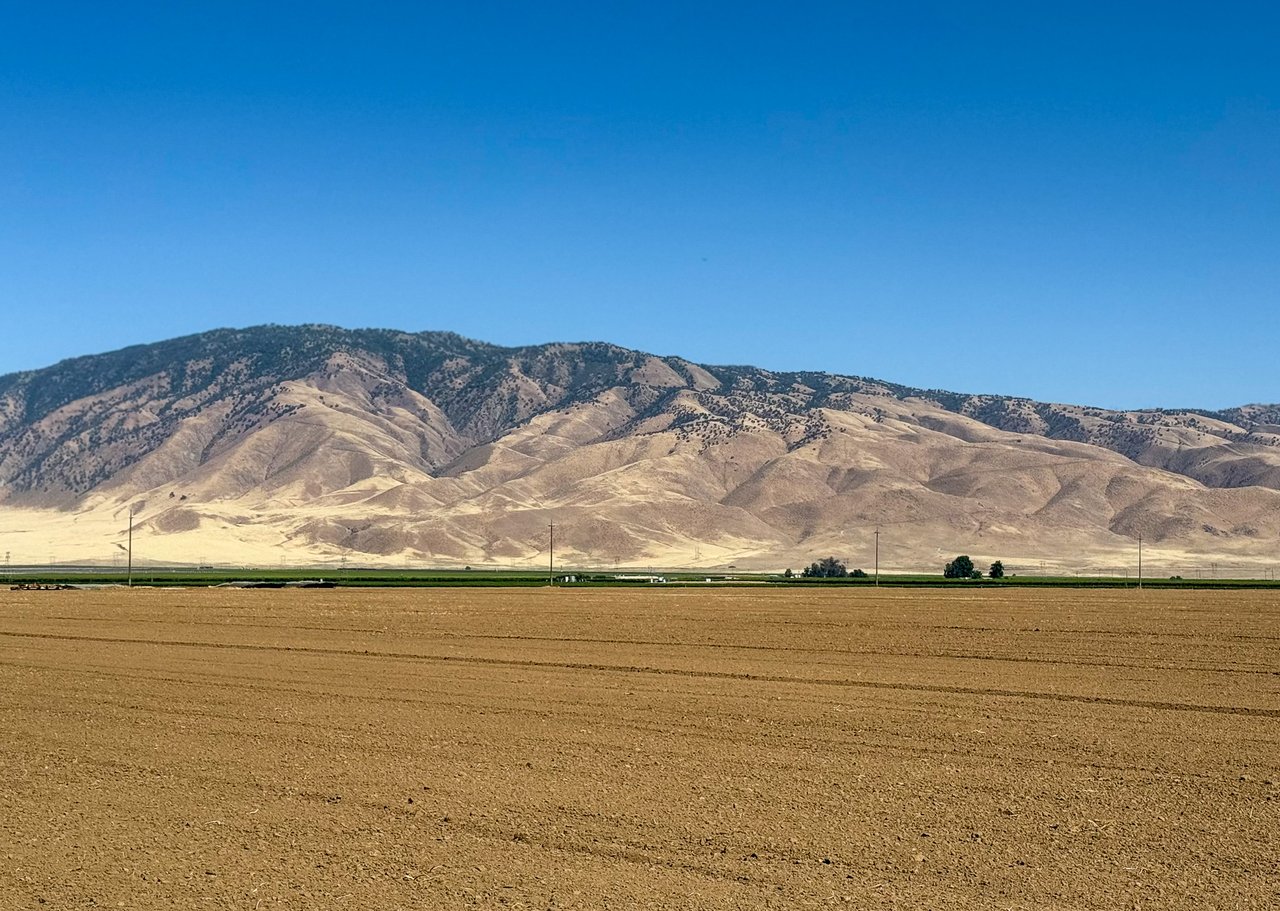 180.35 +/- Acres Transitional Use Organic Farmland in Arvin, CA