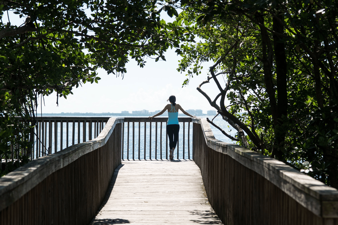 Arbor Coconut Grove