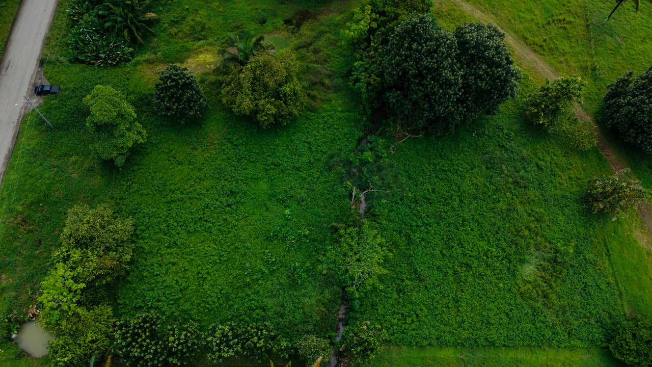 Strategic 5000sqm Commercial Property in Uvita: Perfect for any Business Vision
