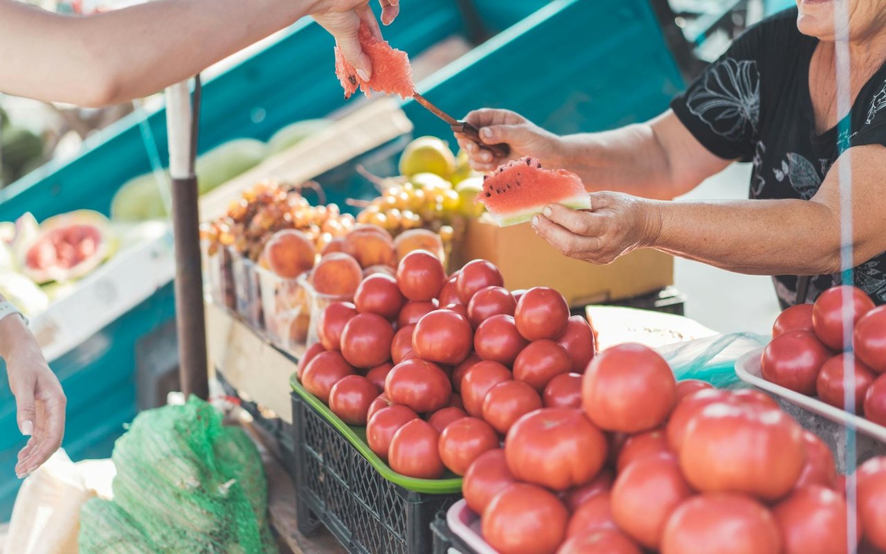Boyne City Farmers Market 2024