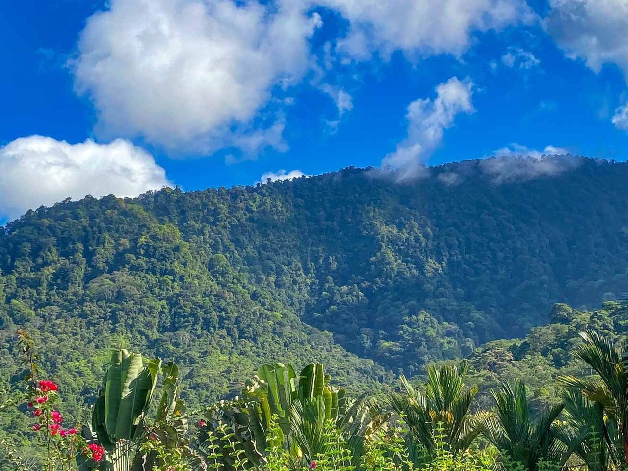 Ocean, Jungle & Mountain View Home in Ojochal | Protected Jungle Setting