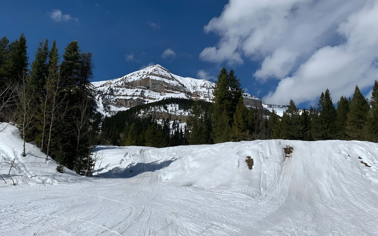 Pinedale