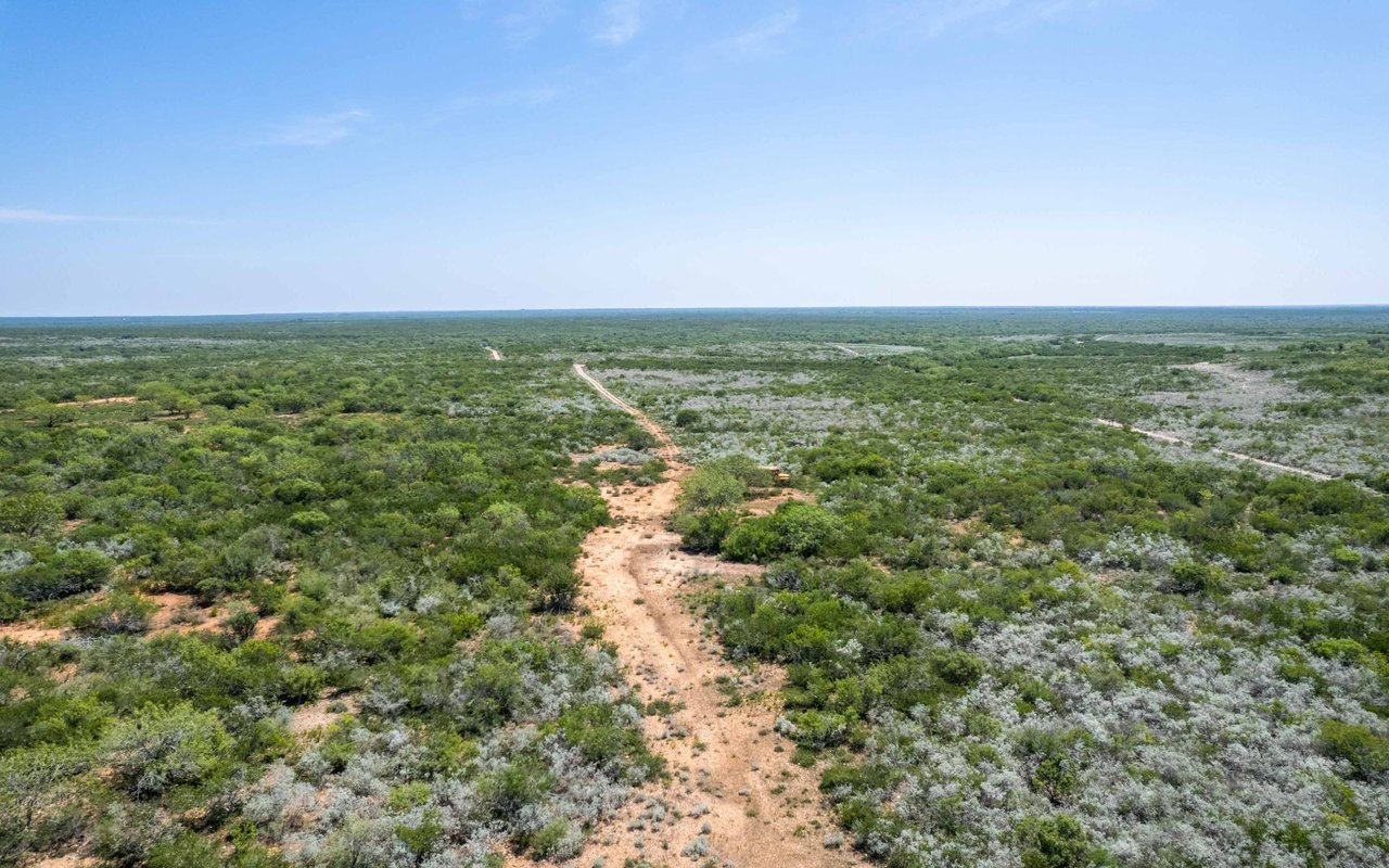 Jim Wells County 47 Acres
