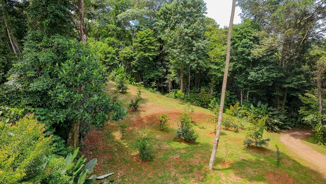 Jungle Home with Riverfront and Orchard in Ojochal Costa Rica
