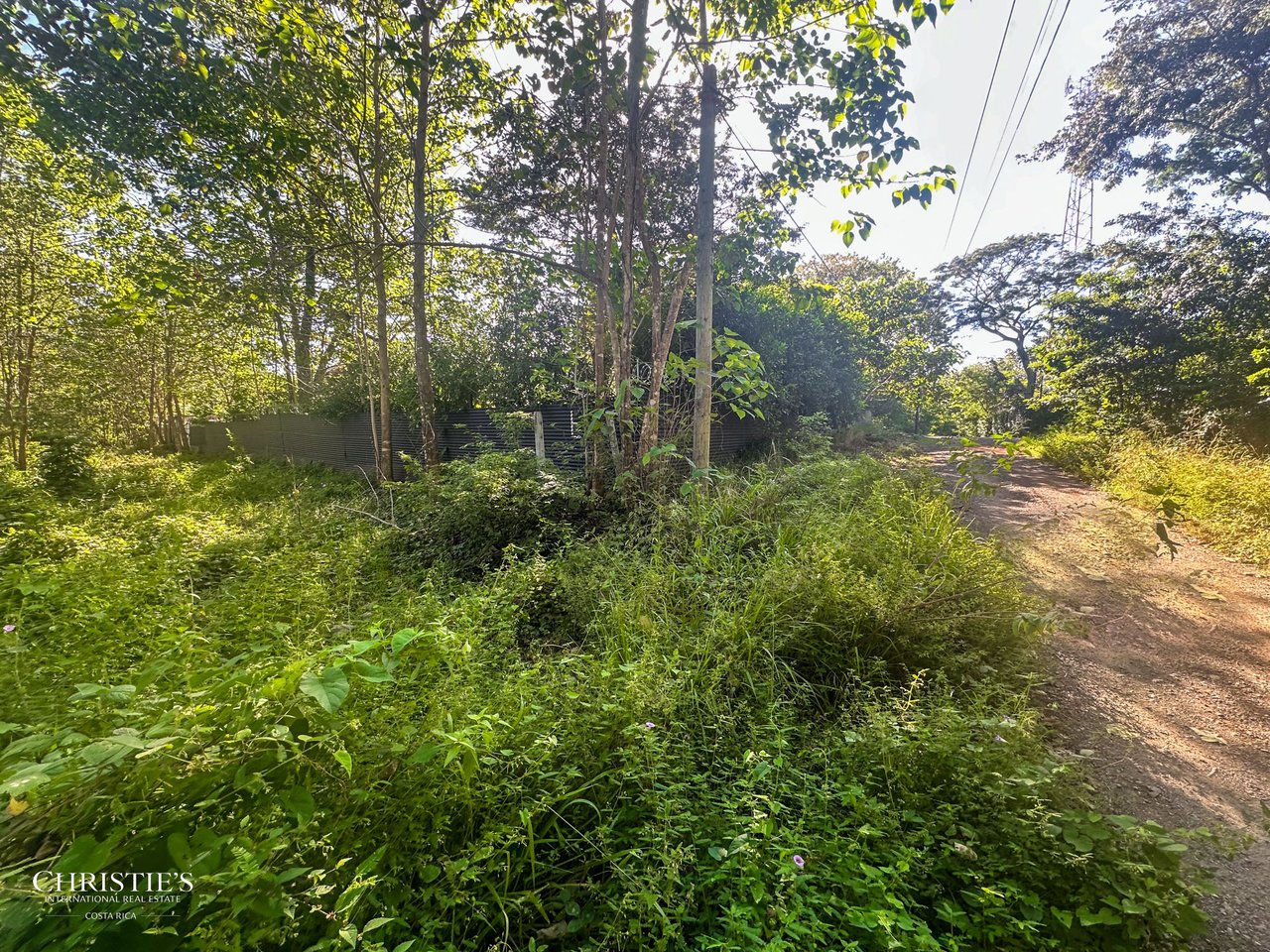 Prime Lot in Playa Avellanas — Walk to the Beach