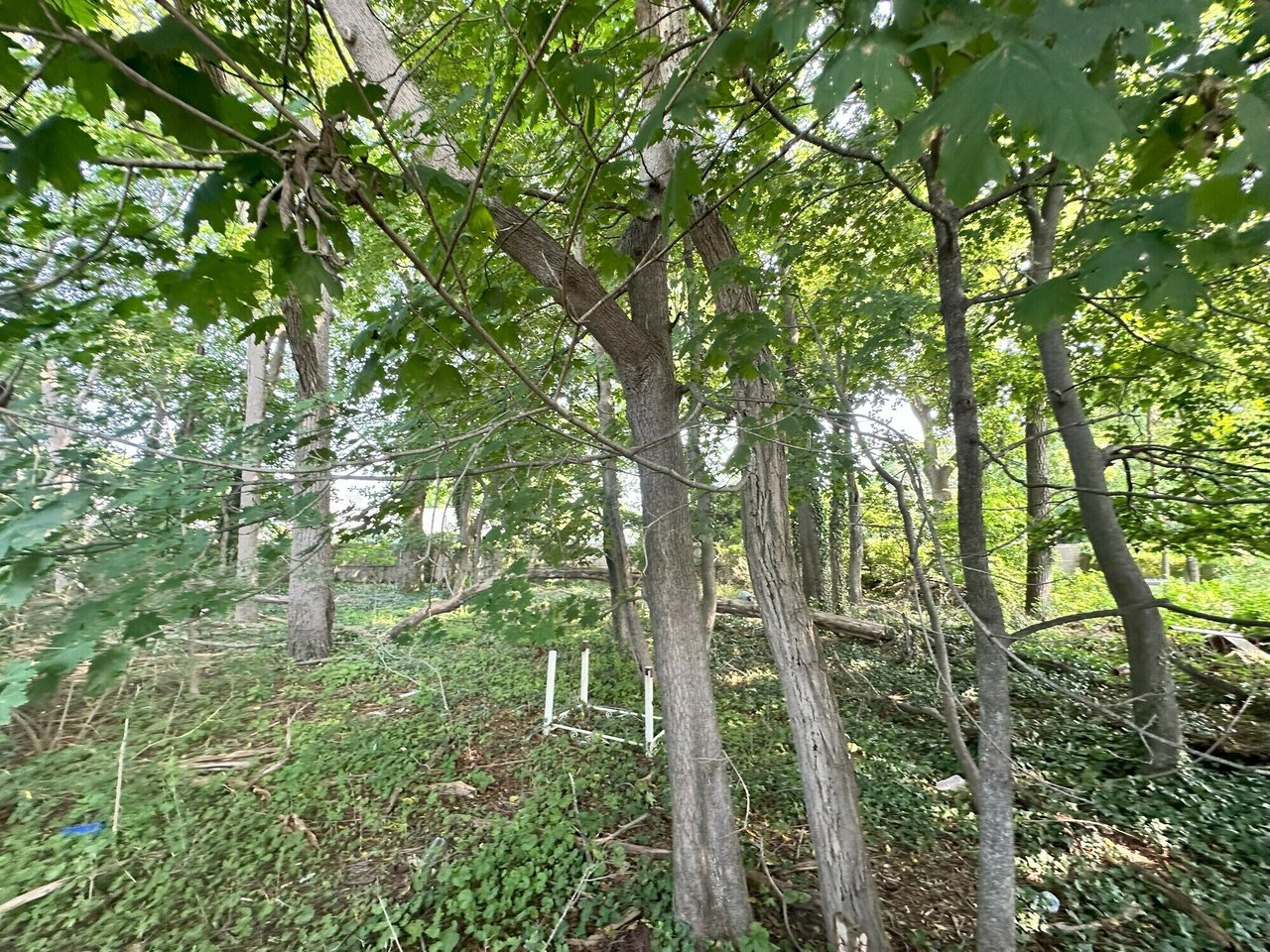 445 Main Street, Center Moriches