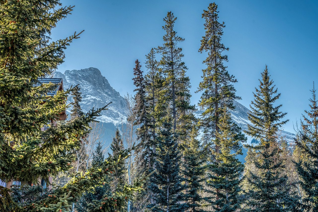 204 - 175 Crossbow Place 