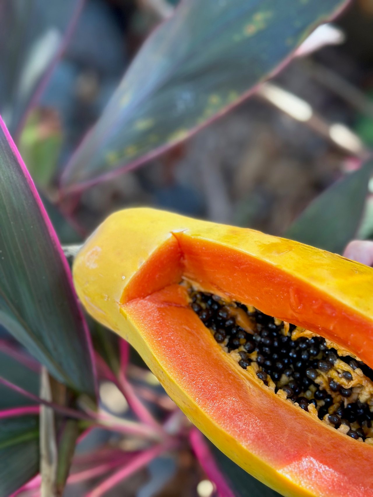 What is the local lifestyle in Costa Rica all about?