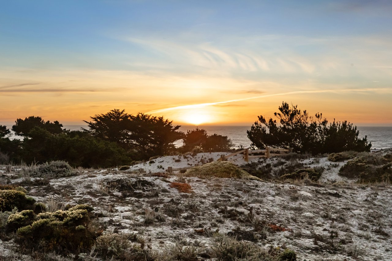 History in the Dunes