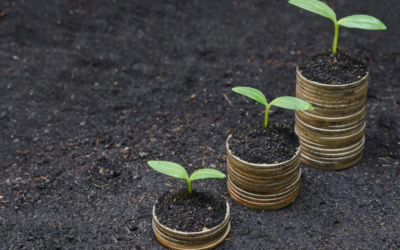 Maximizing Profit in Real Estate Investments