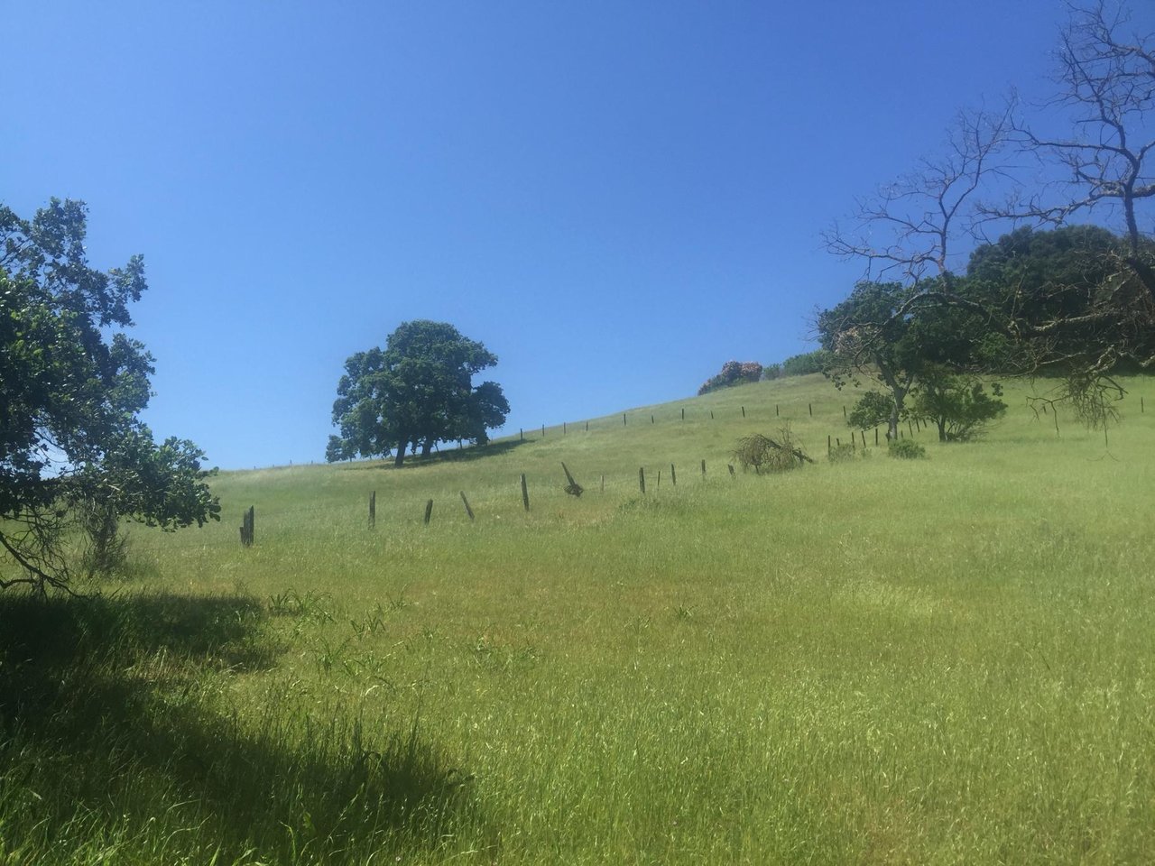270 Kilkare Road, Sunol
